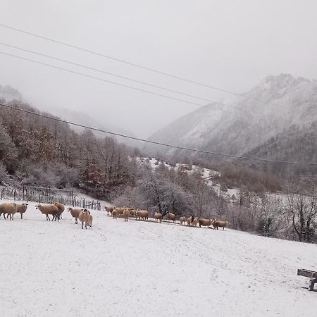 Hotel Family Owned Self Sufficient Eco Farm Tara Pljevlja Exterior foto