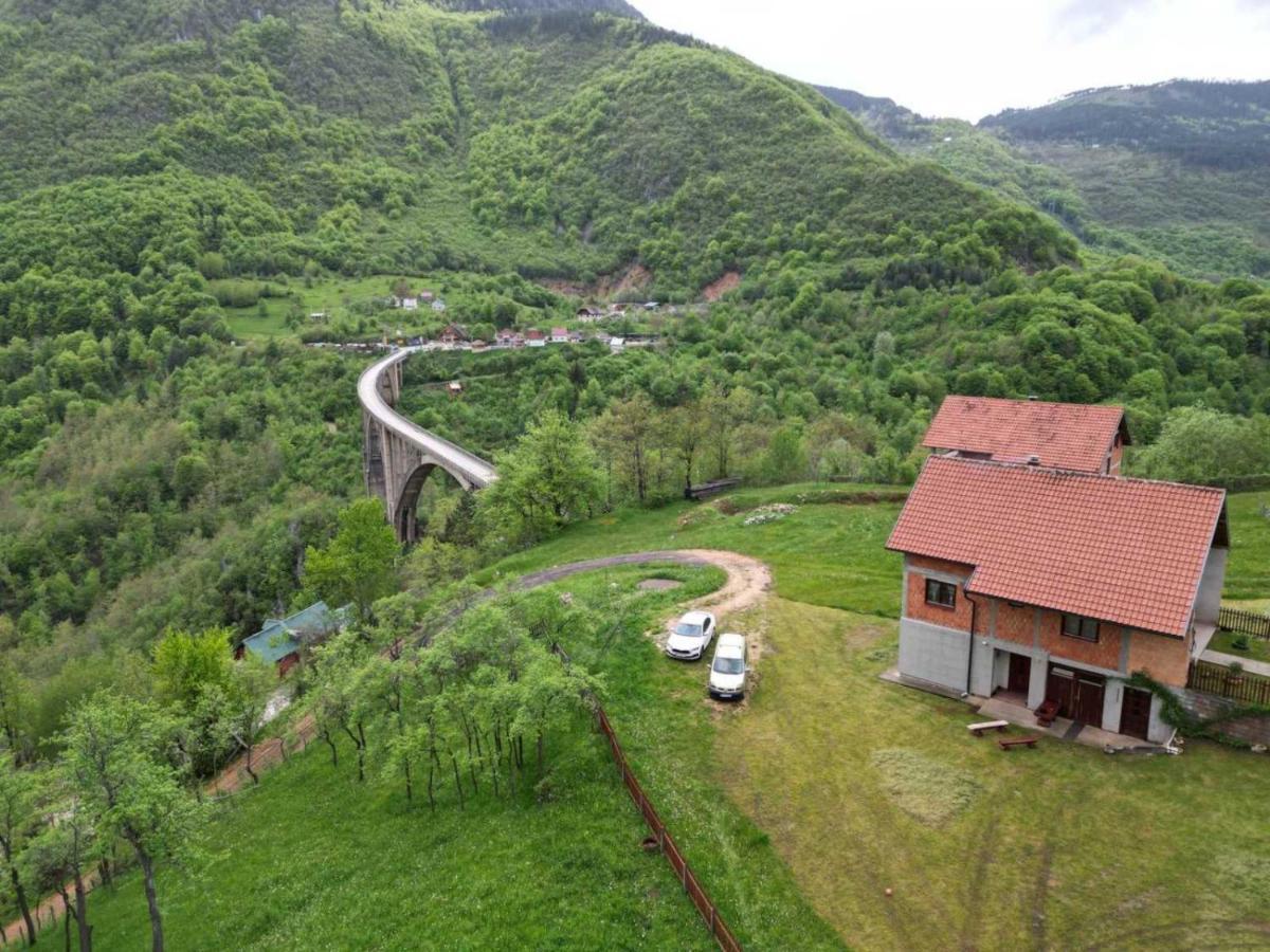 Hotel Family Owned Self Sufficient Eco Farm Tara Pljevlja Exterior foto