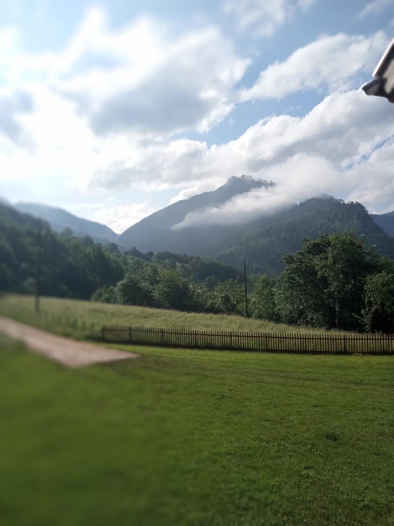 Hotel Family Owned Self Sufficient Eco Farm Tara Pljevlja Exterior foto