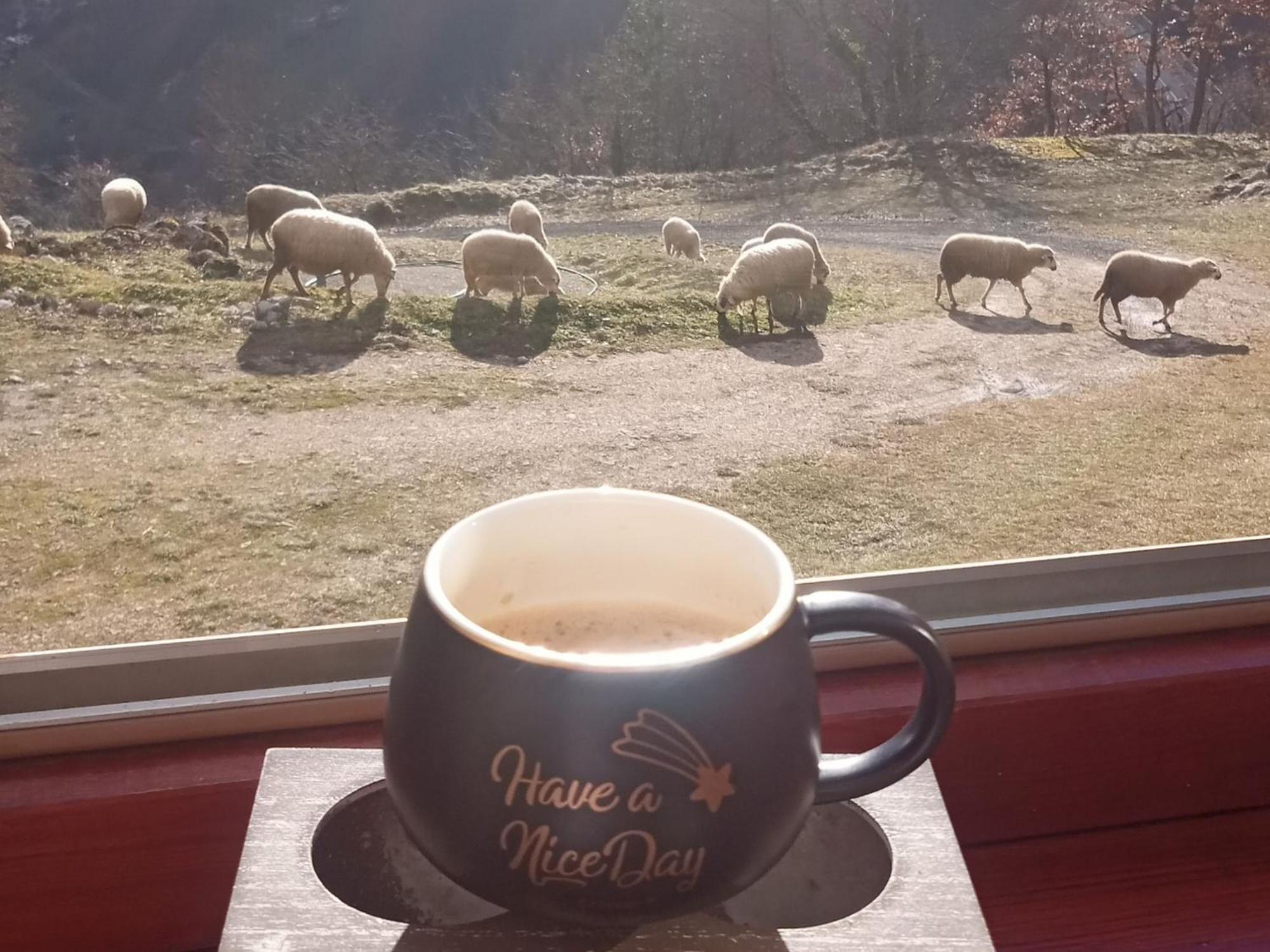 Hotel Family Owned Self Sufficient Eco Farm Tara Pljevlja Exterior foto